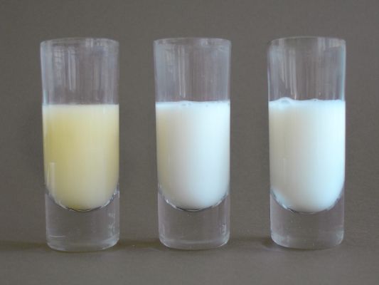 sữa non và sữa thường